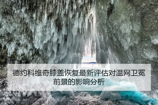 de-yue-ke-wei-qi-xi-gai-hui-fu-zui-xin-ping-gu-dui-wen-wang-wei-mian-qian-jing-de-ying-xiang-fen-xi-1-589.jpg