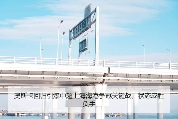 ao-si-ka-hui-gui-yin-bao-zhong-chao-shang-hai-hai-gang-zheng-guan-guan-jian-zhan-zhuang-tai-cheng-sheng-fu-shou-2-245.jpg