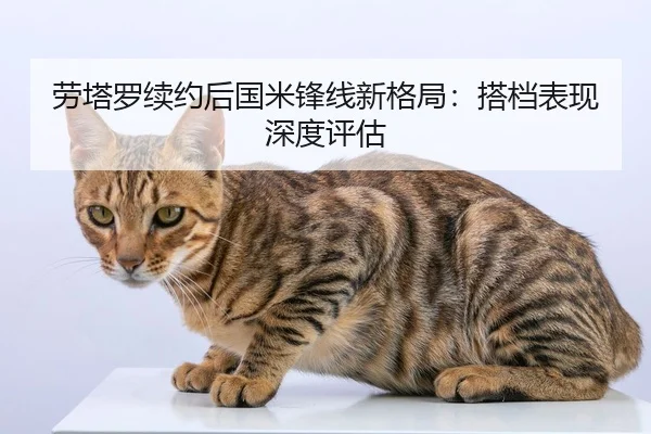 劳塔罗续约后国米锋线新格局：搭档表现深度评估