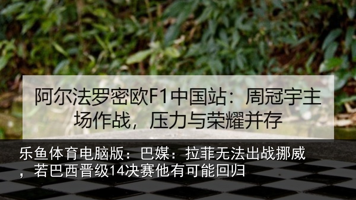 乐鱼体育电脑版：巴媒相关情况，若巴相关情况能回归