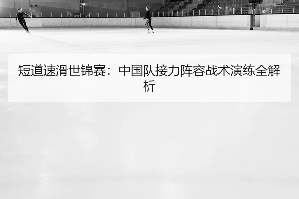 duan-dao-su-hua-shi-jin-sai-zhong-guo-dui-jie-li-zhen-rong-zhan-shu-yan-lian-quan-jie-xi-2-629.jpg