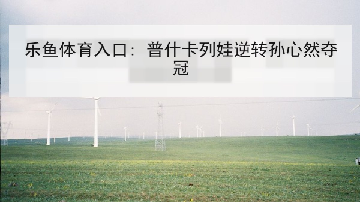乐鱼体育入口: 普什卡列娃逆转孙心然夺冠