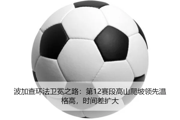 bo-jia-cha-huan-fa-wei-mian-zhi-lu-di-sai-duan-gao-shan-pa-po-ling-xian-wen-ge-gao-shi-jian-cha-kuo-da-2-206.jpg